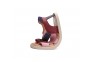 2 - Barefoot roosad sandaalid tüdrukutele 20-25 s. G076-51334B